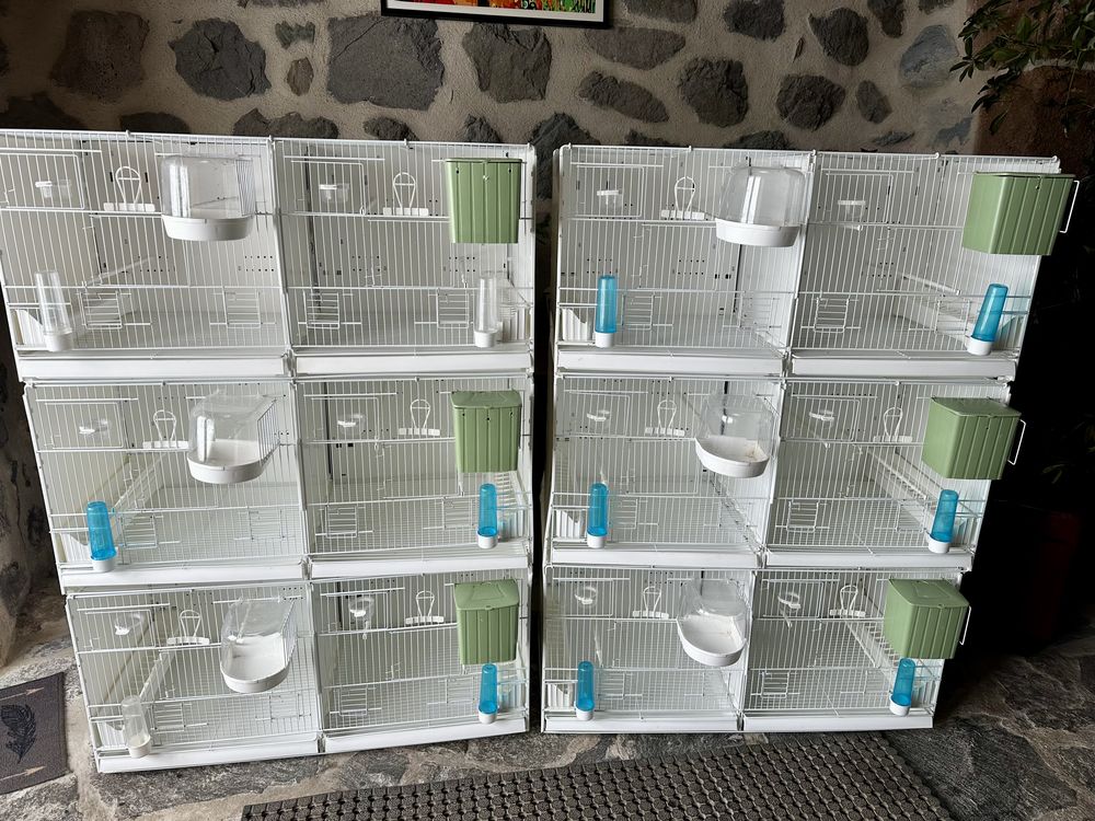 Cages 2 GR 90 cm 85 07310 La rochette