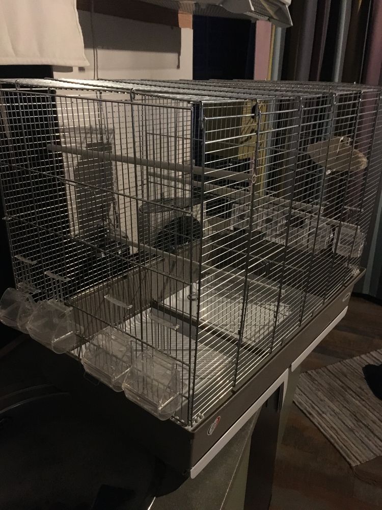 Cage oiseaux 50 60310 Amy