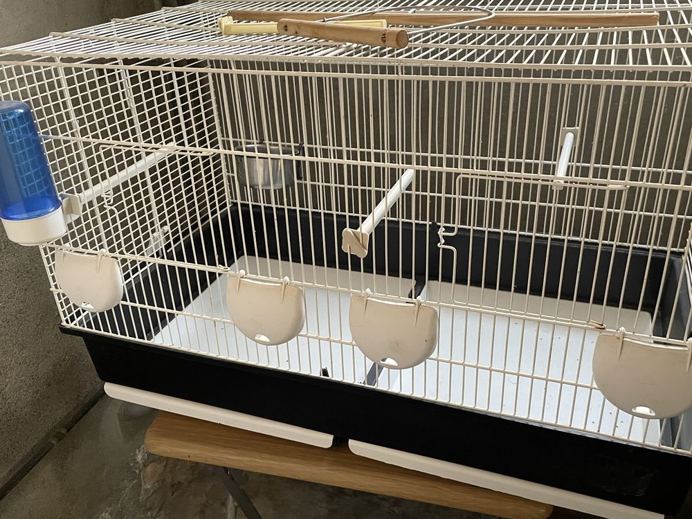 2 cages oiseaux 30 66600 Rivesaltes