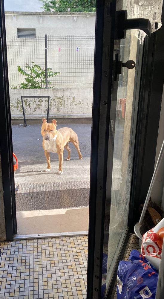 Staff &agrave; donner. 0 93200 Saint-denis