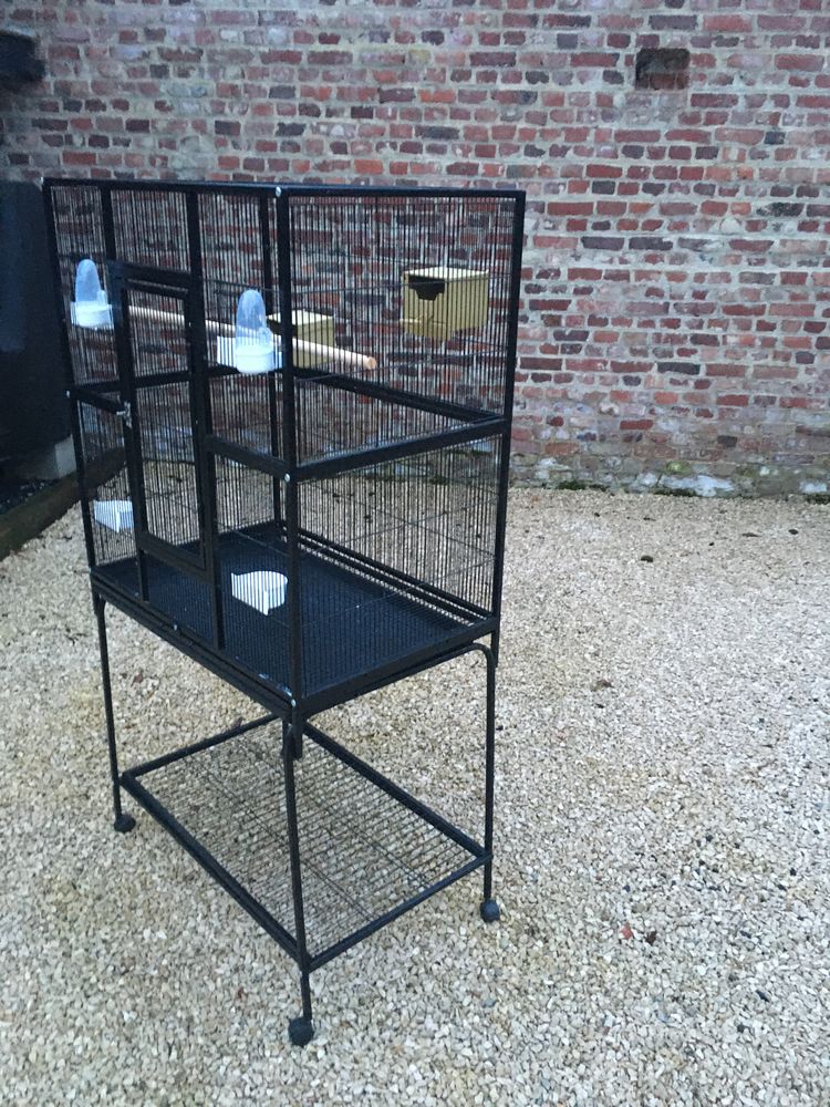 Voliere 60 60310 Amy