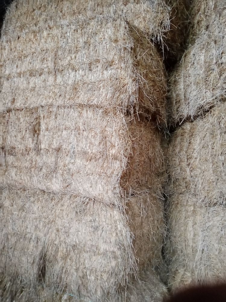 Foin de luzerne 3&egrave;me coupe 120 89120 Malicorne