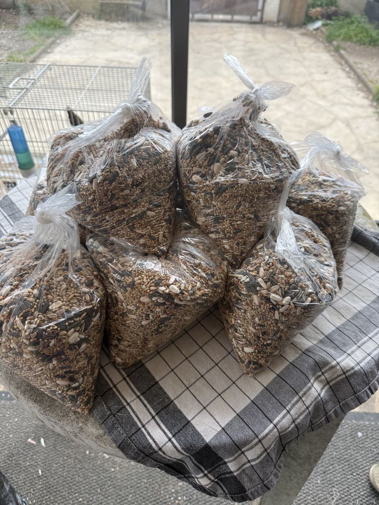 Graine pour oiseau 1 93330 Neuilly-sur-marne