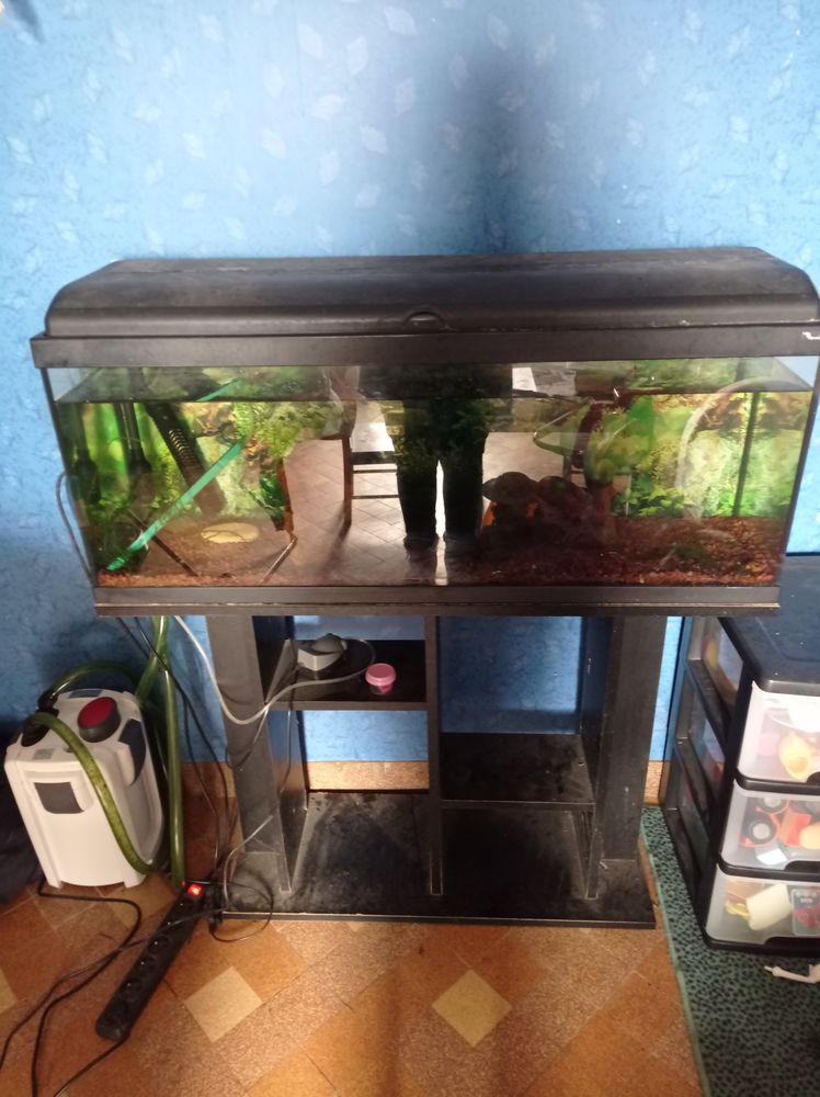 Aquarium 100 44330 Vallet