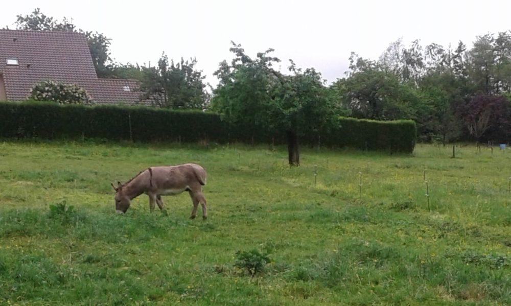 PLACE AU PRE 1 38570 Tencin