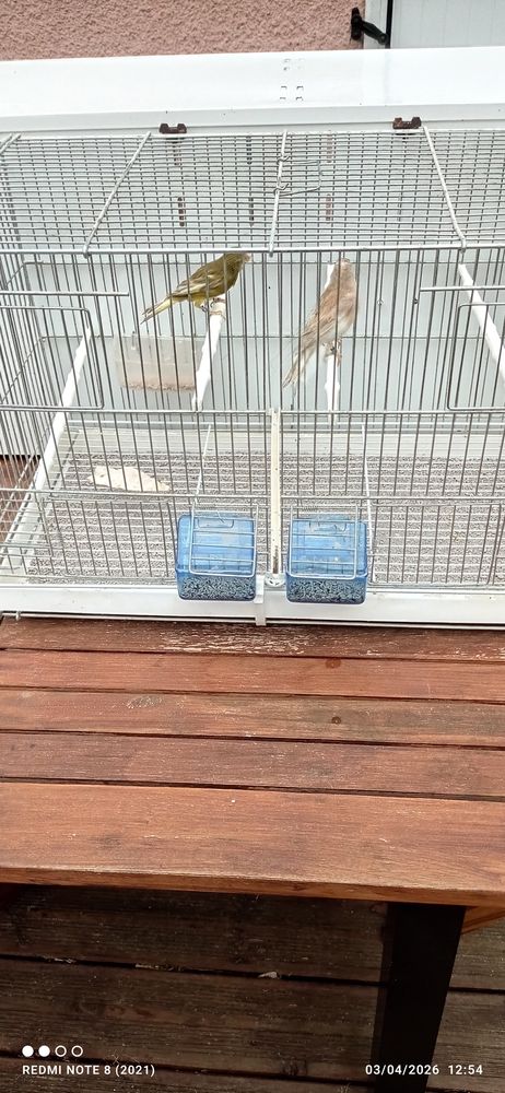 Canaris  60 33390 Blaye