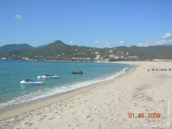   T2  Corse du Sud - Bordure de plage à Calcatoggio Corse, Calcatoggio (20111)