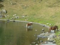   Pyr�n�es-31 :chalet 14 personnes � 1450m :660�/Se Boutx(31) Vacances  / Offres de location 