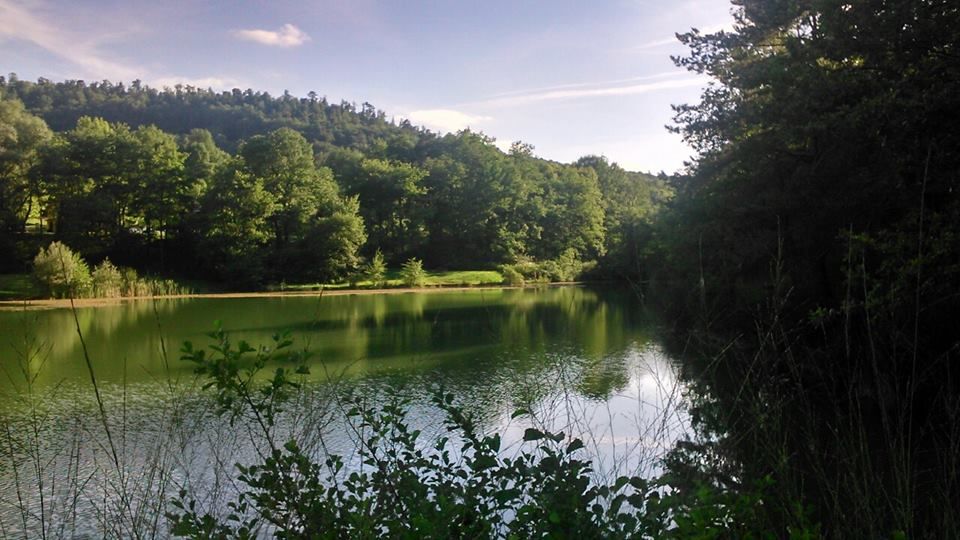   CHALETS ET SPA PRIVATIF vue piscine et lac pour la pêche Languedoc-Roussillon, Chalabre (11230)
