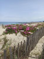   NOUVEAU: 2 pièces sur l'eau,100m plage, calme, jolie vue. Languedoc-Roussillon, St Cyprien Plage (66750)