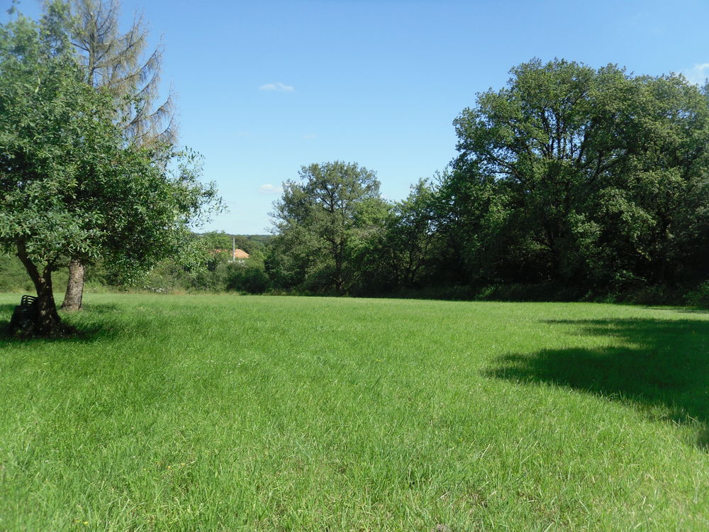 Belle Propriété: Maison, Parc 2 hectares 86290