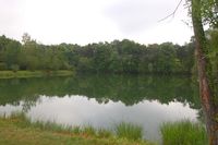 etang de peche seine et marne