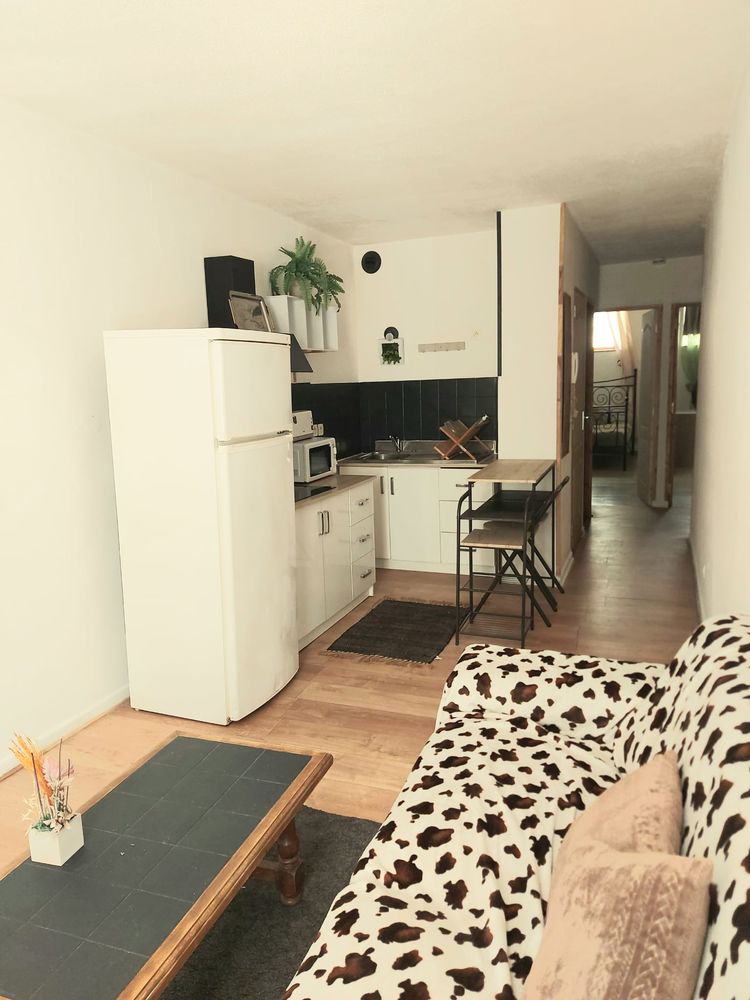 APPARTEMENT CENTRE VILLE