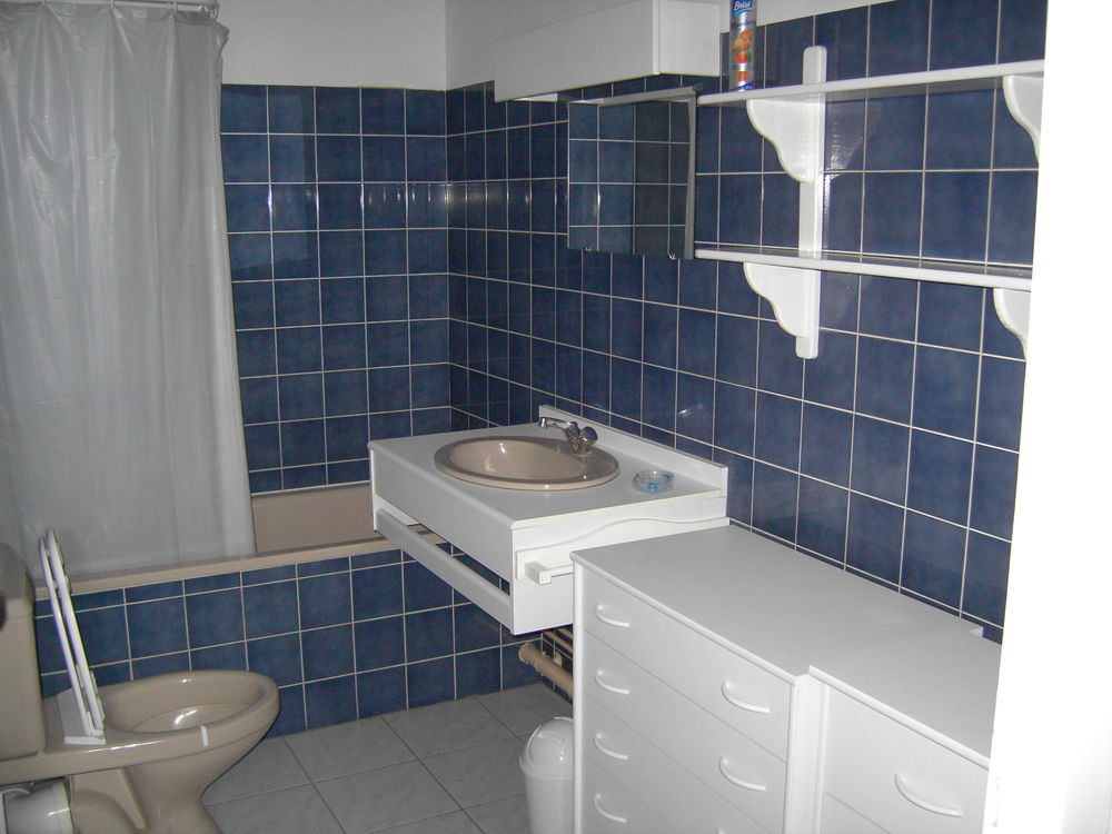 SAINT-AVOLF F1 BON ETAT 400 €