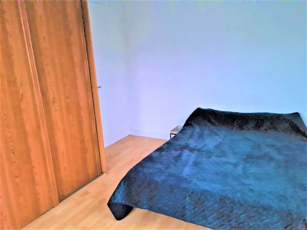 Fauriel F3 mblé/vide 545 € cc. ss frs d'agce/de bail