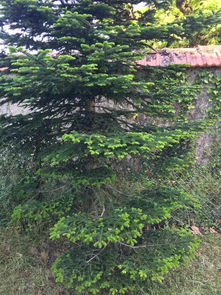 Studio en rdc proche gare dans maison bourgeoise loyer 750€