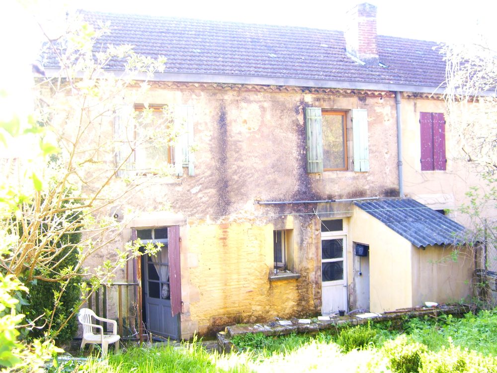 grande maison de ville avec jardin