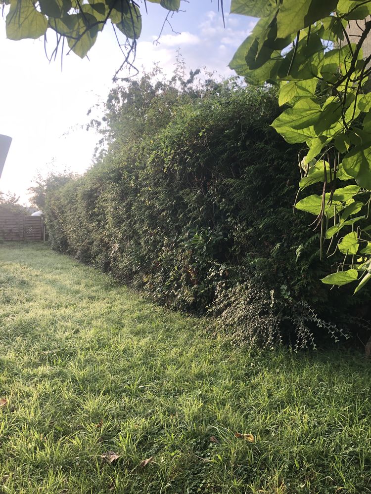 Studio meublé RDc au pied de la gare idéal étudiant 650€ Cc