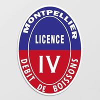 Licence 4 / Licence IV - Montpellier 550 Montpellier (34000)