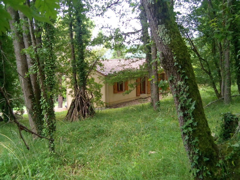 maison 4kms d'AGEN dans un petit bois de chenes