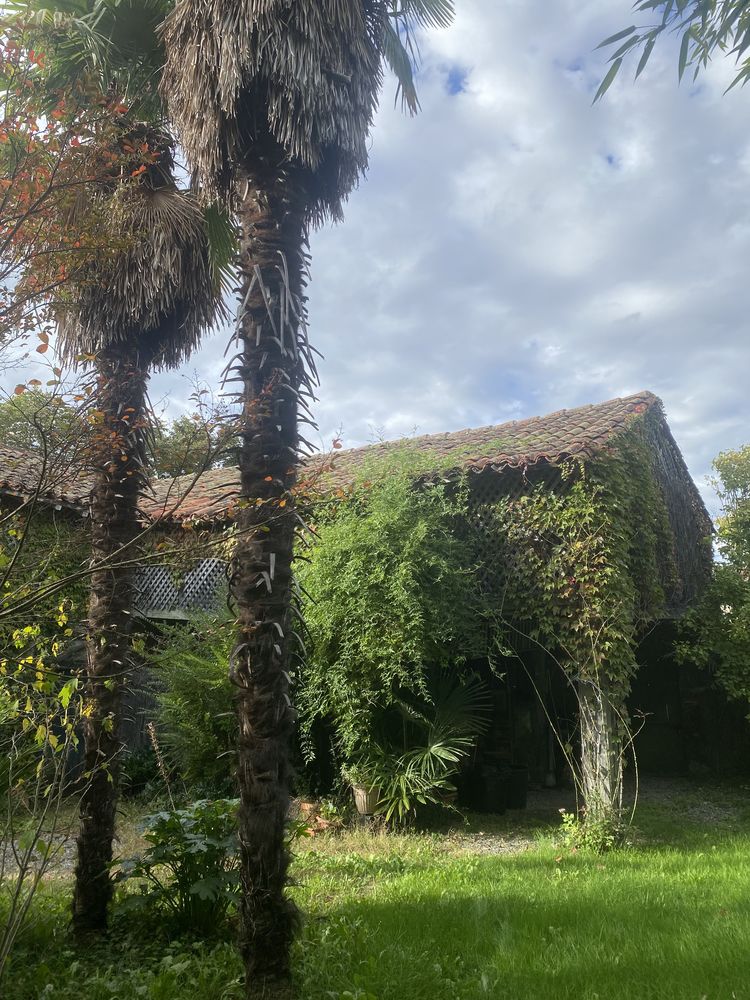Propriété - 2 maisons de village avec grand jardin commun