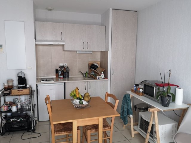 Studio RdC avec terrasse plein sud