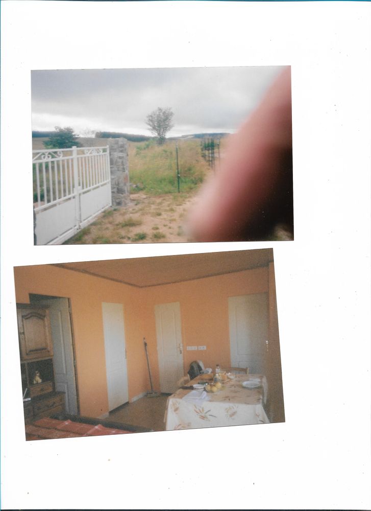 immobilier