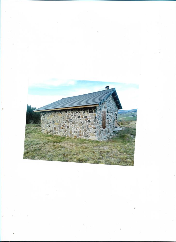 immobilier
