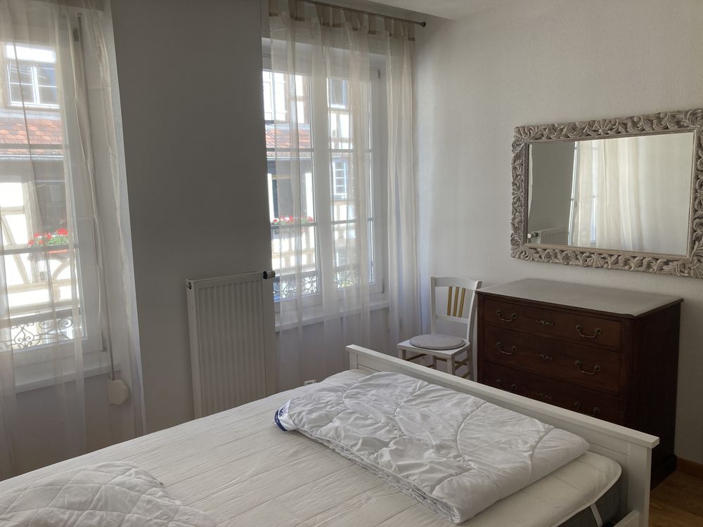Appartement exceptionnel centre historique Colmar 3p 75m2