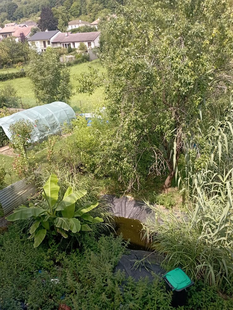 Maison avec terrain Marbache