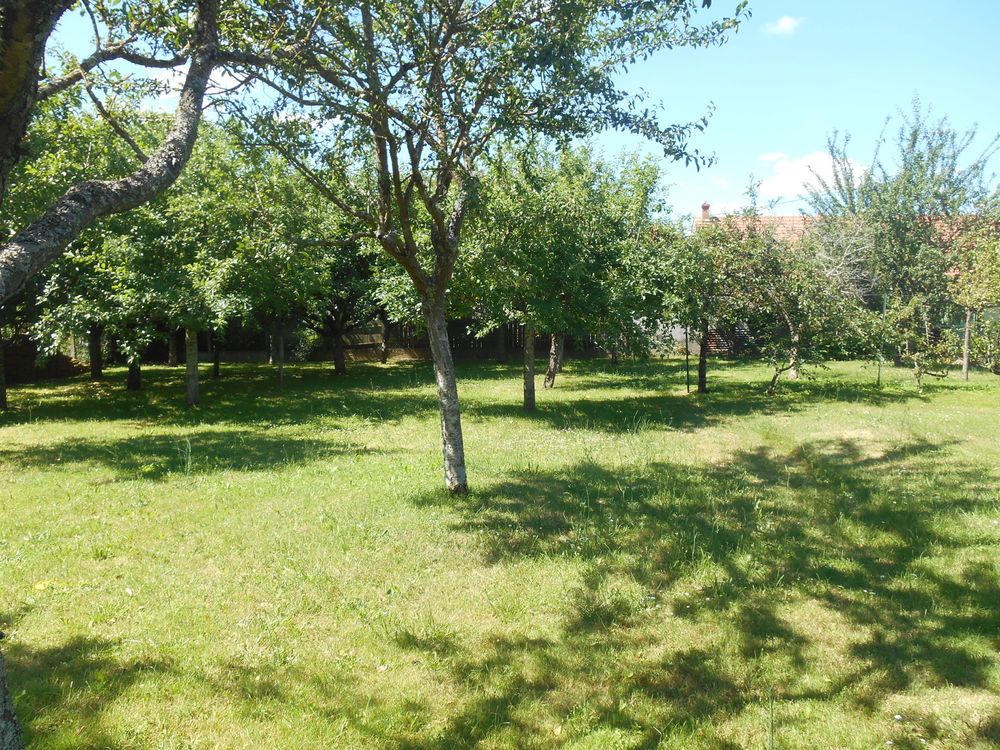 ENSEMBLE IMMOBILIER MAISON ET LOCAL COMMERCIAL