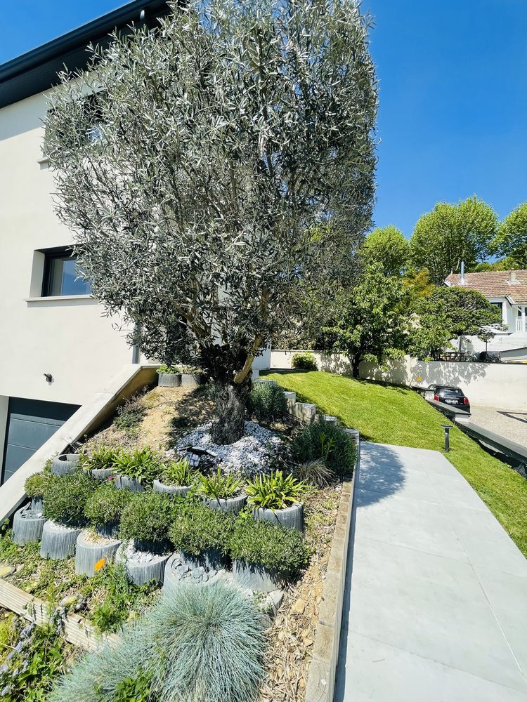 6 pièces 3 chambres 145 m² 720 m² de terrain