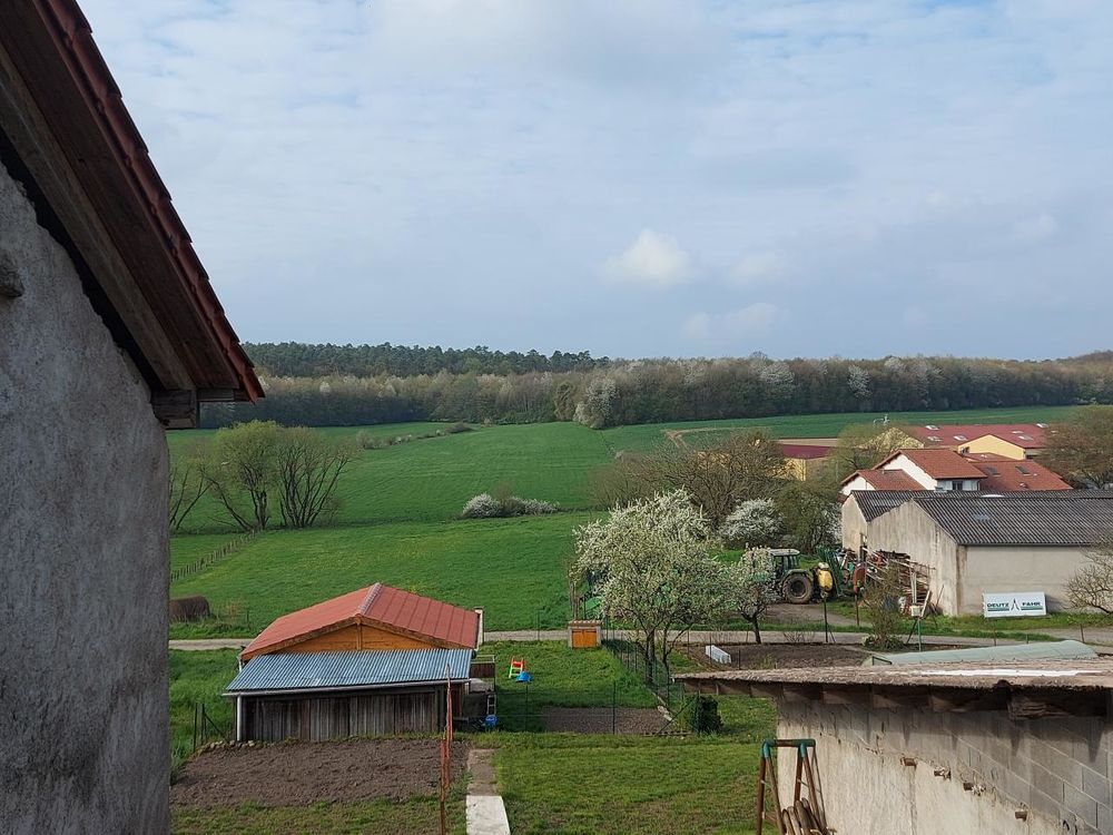 maison mitoyenne