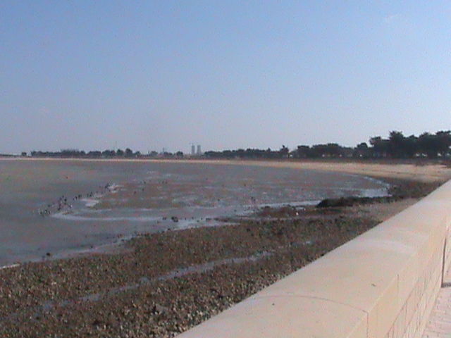 Ile de Ré, RARE, bord de mer, site classé, appartement F3rdc