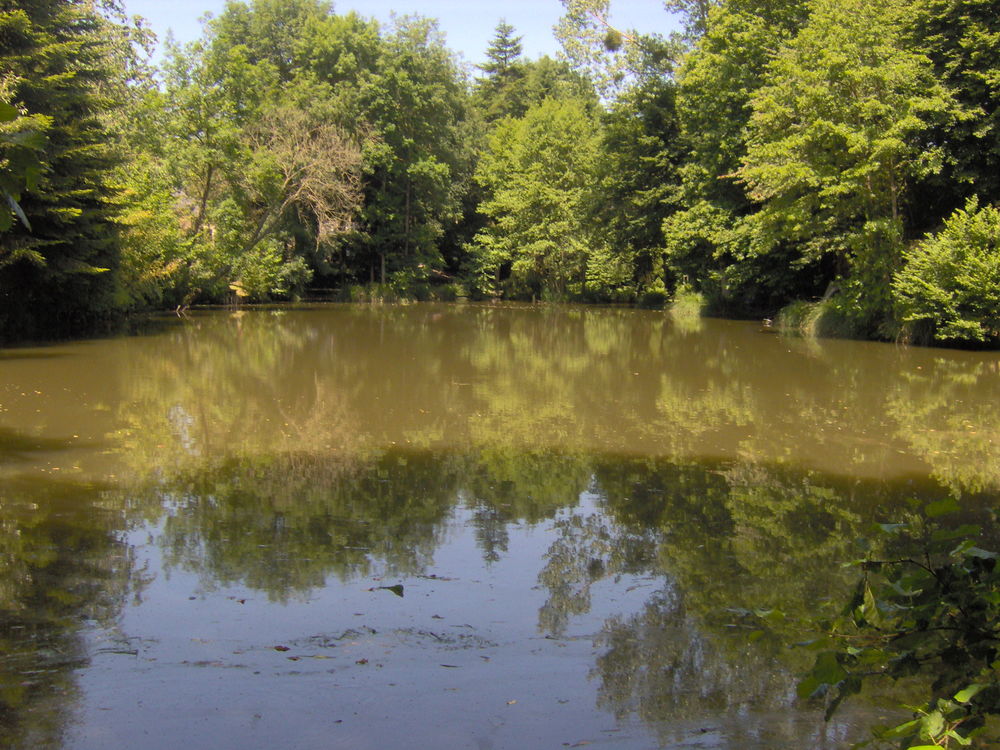 Jolie propriété bucolique et idyllique