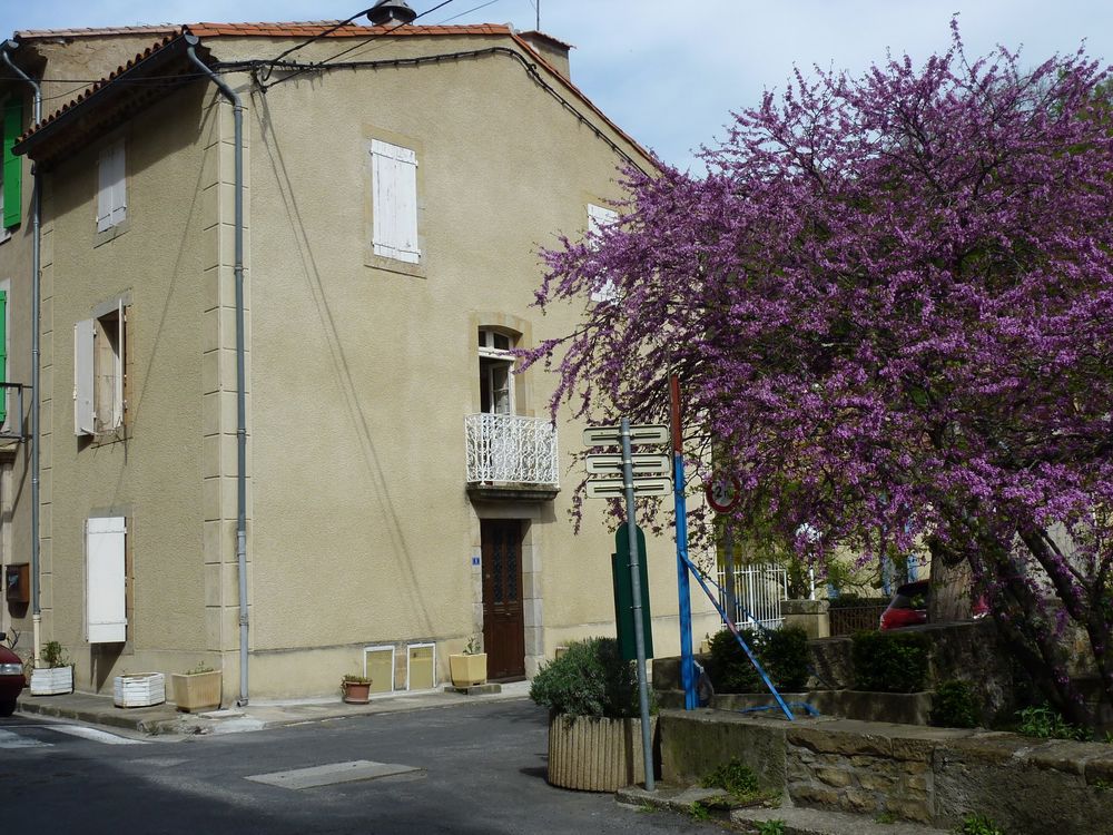 Maison 150m² - 8 pièces avec terrasse dans station thermale
