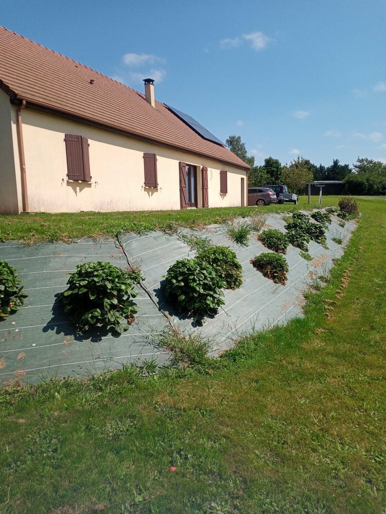 maison plein pied