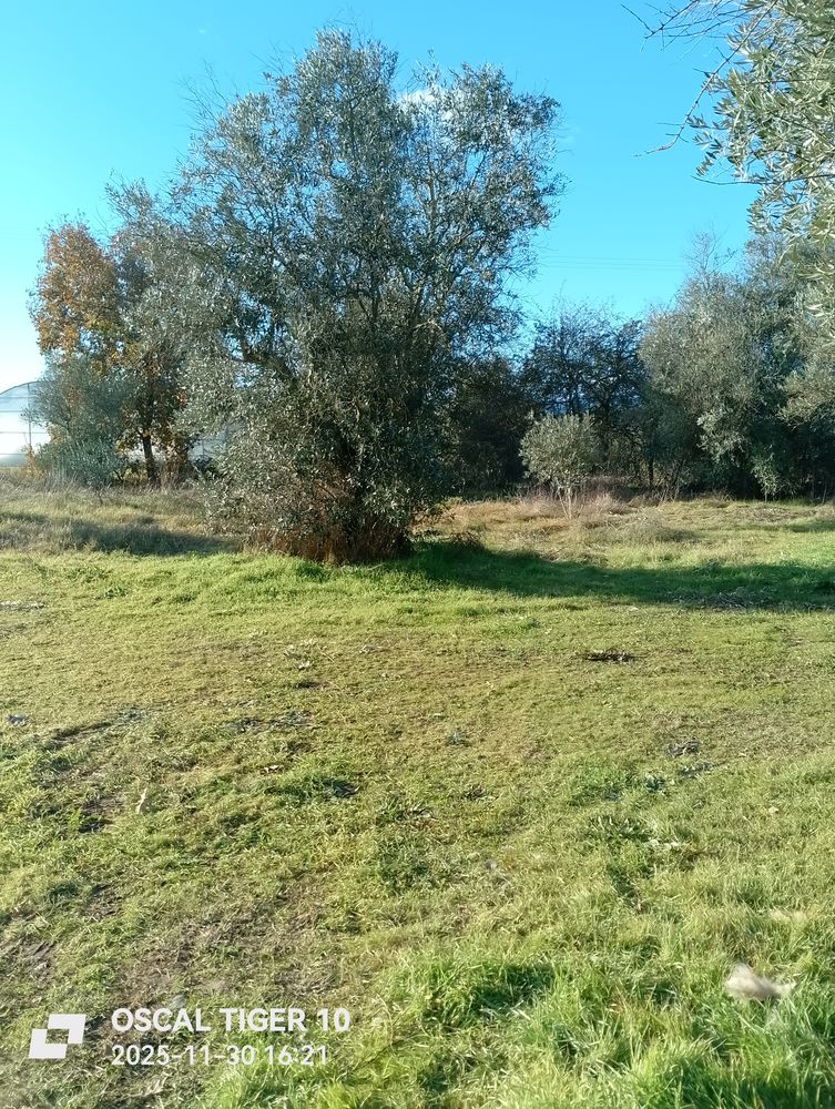 Cherche petite maison en