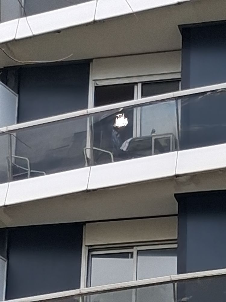 29 m2 + balcon sur verdure