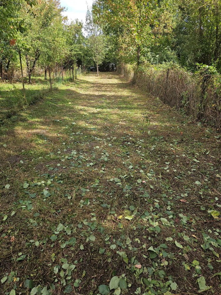 Maison avec jardin et vue sur la nature à Sedan gare