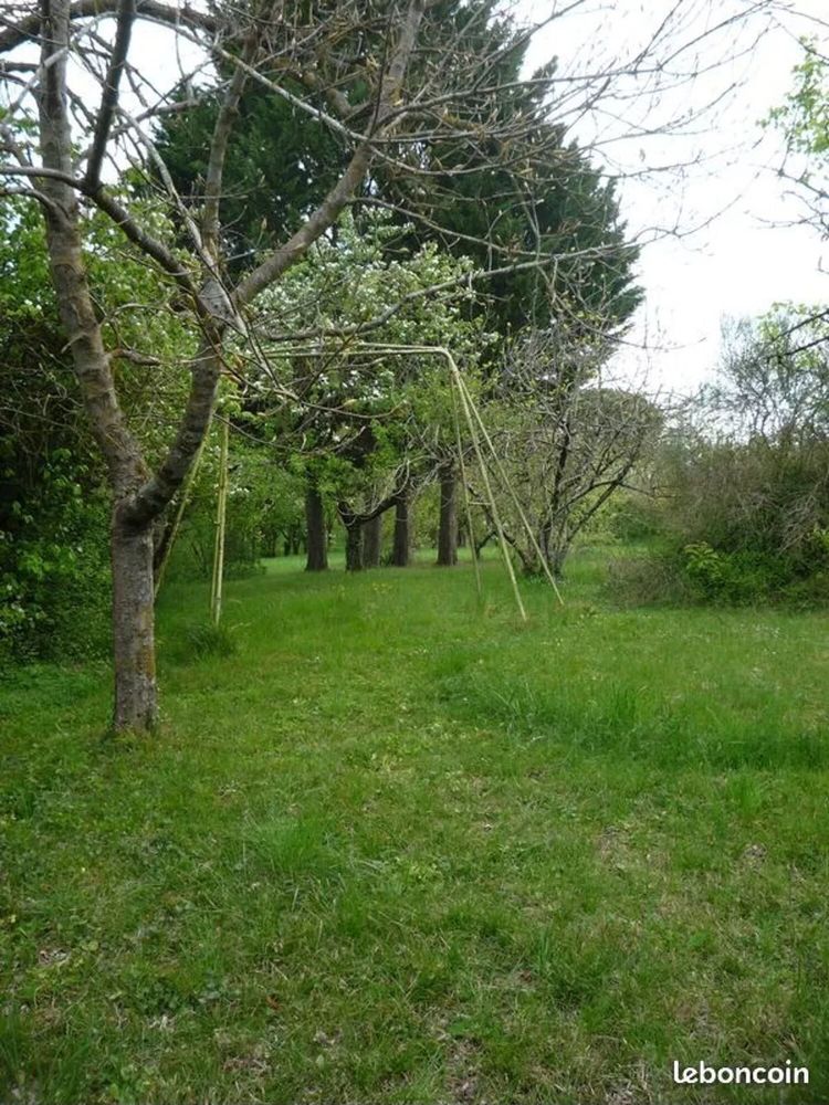 Terrain / Jardin/vergé/arbres fruitier/ apiculture / remise