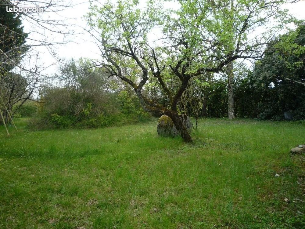 Terrain / Jardin/vergé/arbres fruitier/ apiculture / remise