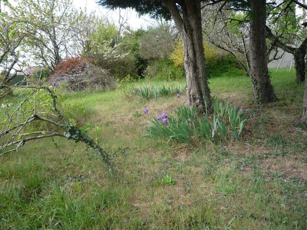 Terrain / Jardin/vergé/arbres fruitier/ apiculture / remise