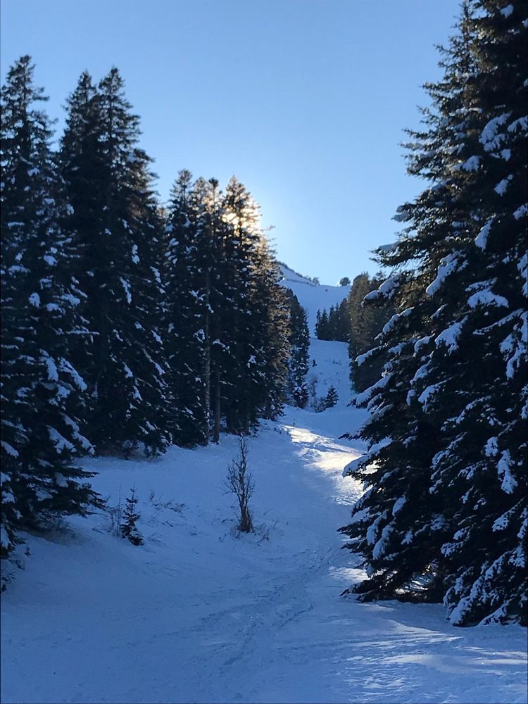 Chalet à Chabanon - ski à pied- forêt et calme absolu