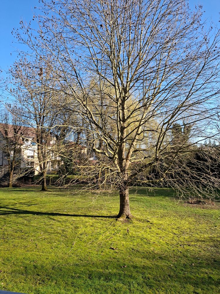 Bel appartement F4 à Thionville