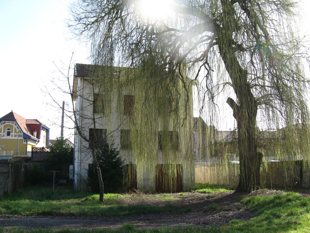 Maison individuelle 180 m² - Vaucouleurs (55)