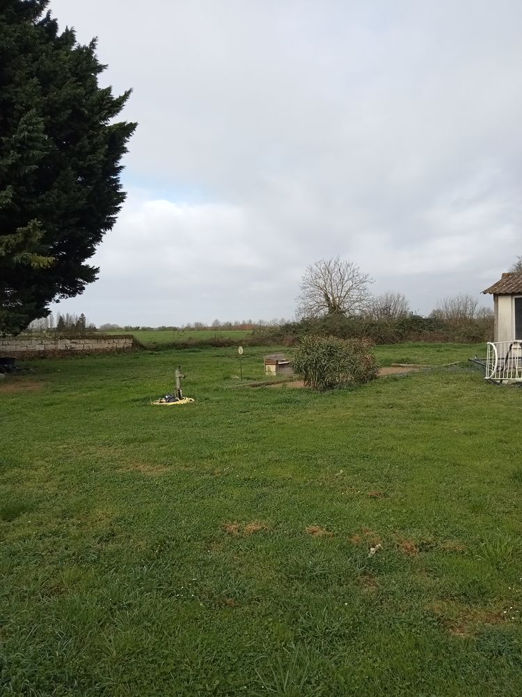 Maison de campagne avec grand terrain arboré 90 m²