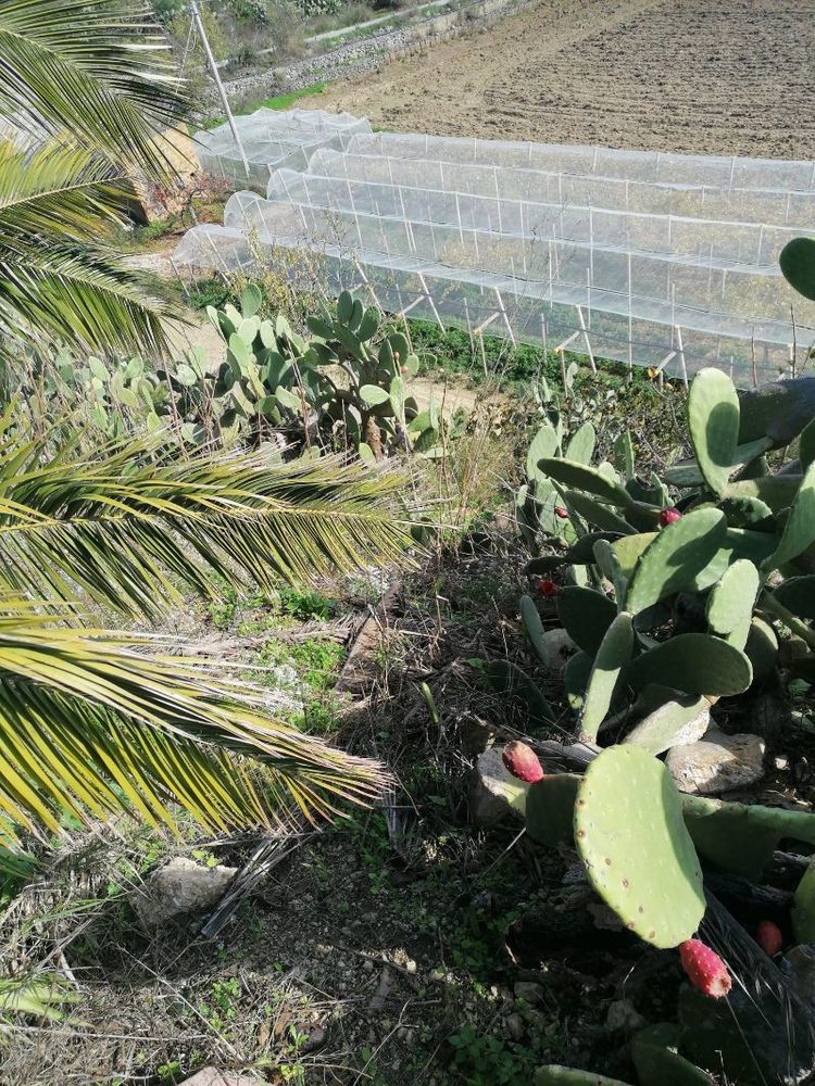 BELLE VILLA en Sicile, avec piscine