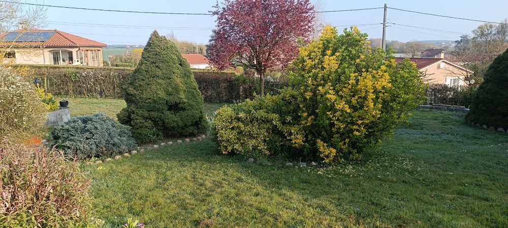Villa100m2 + sous-sol 100m2 sur un terrain de 1750m2.