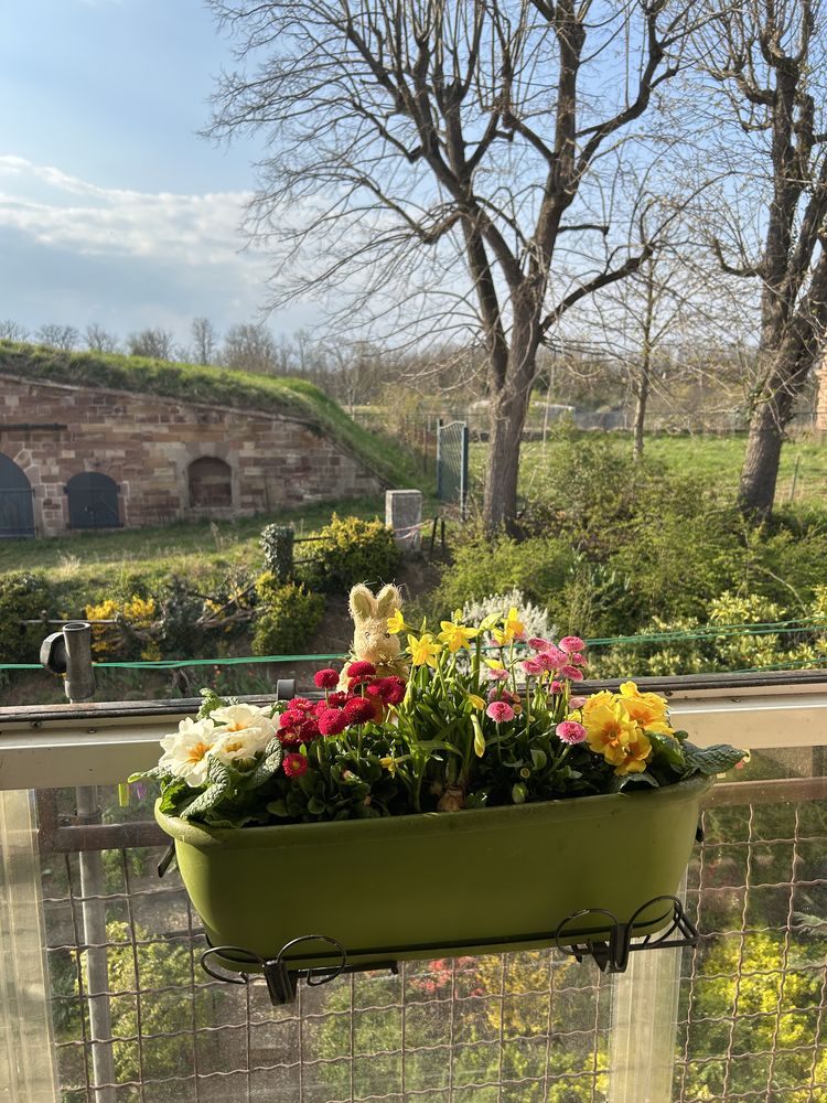 NEUF-BRISACH, Bel appartement 4 pièces tout confort
